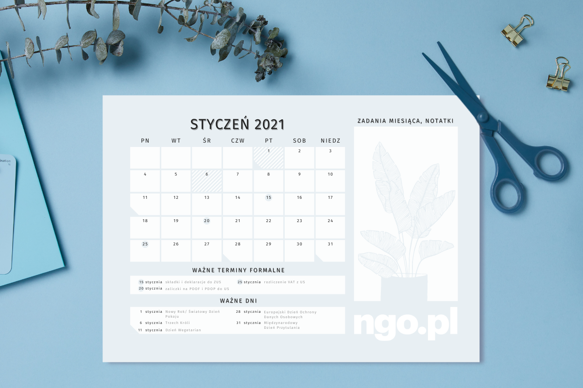 planer ngo planer ngo